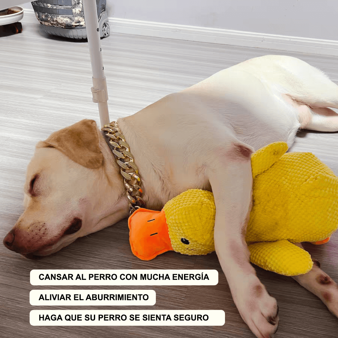 Patoluca® - El Pato Calmante