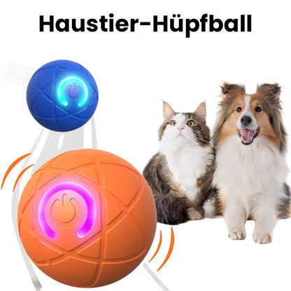 Pelota Saltarina para Gatos🐱 y Perros🐶