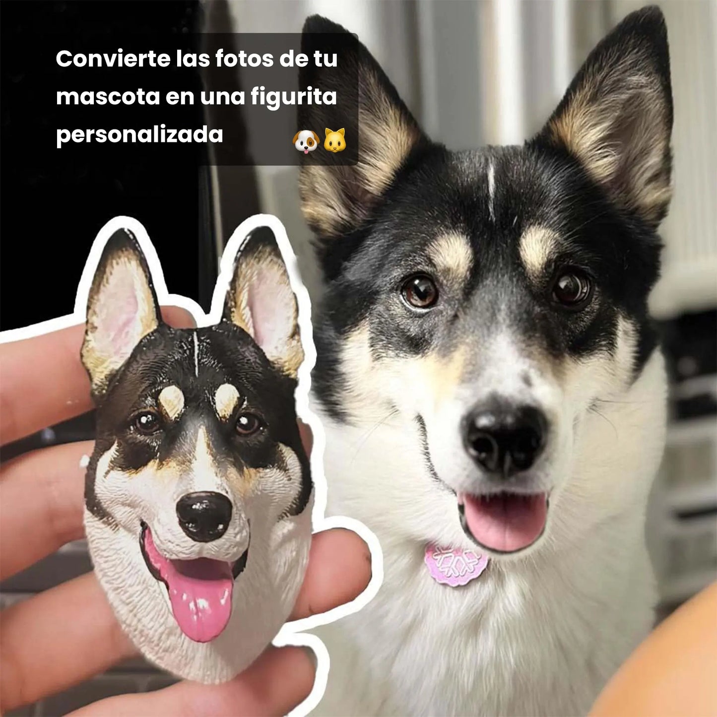 MagniPet® - Figurita Magnética 3D Personalizada